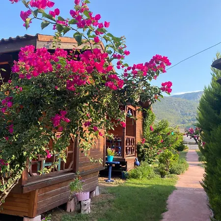 Oda ve Kahvaltı Ada 3*